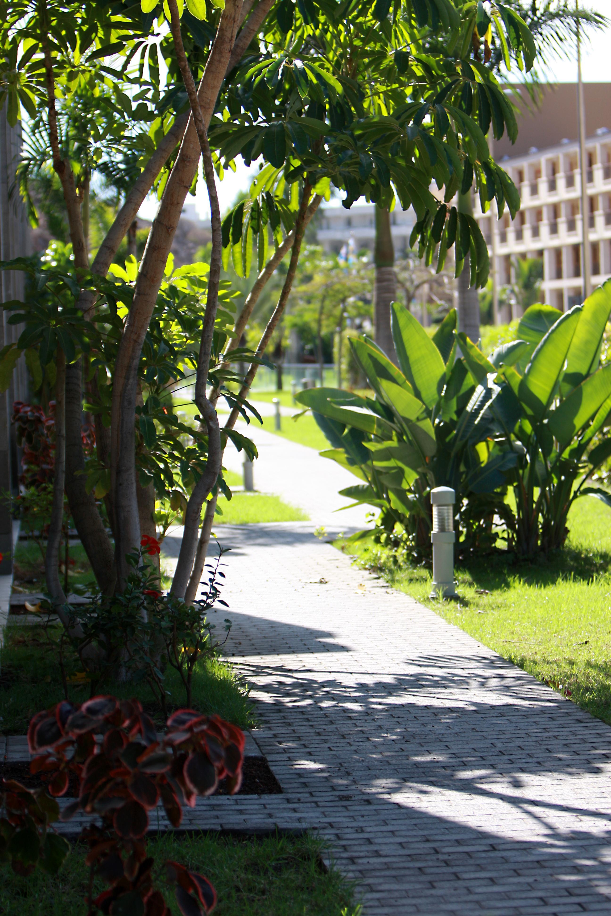 Hotel Livvo Costa Taurito & Aquapark (Adults Only) 외부 사진